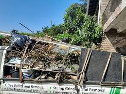 Best Recycling Services for Junk  in Santee, CA